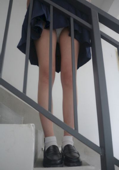 星星舰队